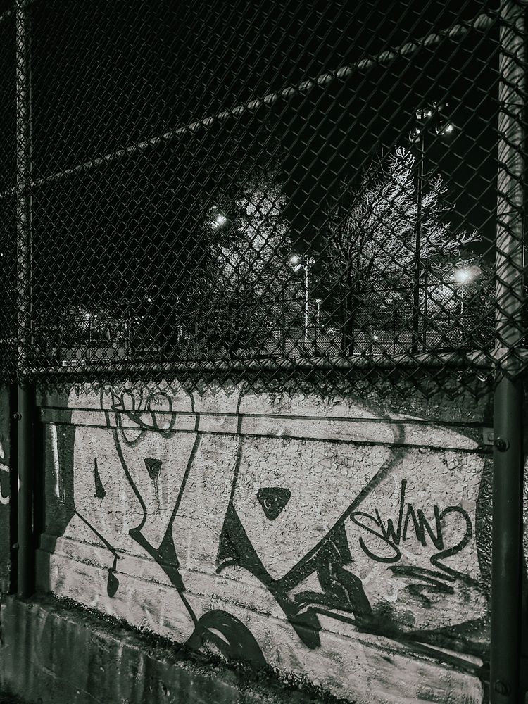 Graffiti on a concrete wall topped by a fence. In the distance, behind the fence, are trees. It’s still dark so the trees and fence are lit by street lights 