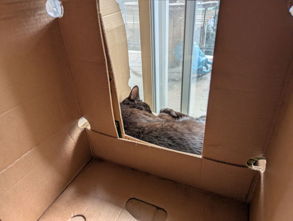 Picture of a cardboard box in which a black cat is laying down, sleeping, facing away from the camera. The box is used as a framing device, the cat being the center of the picture. The curled up paws of the cat can be seen near his body, implying he is sleeping curled up on himself. The cat is facing a glass door (captioner's note: he likes to sit in the box to watch the birds and other fauna from that spot)