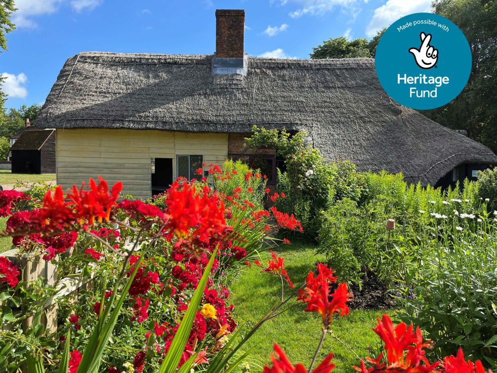 A thatched cottage with orange flowers in the garden.