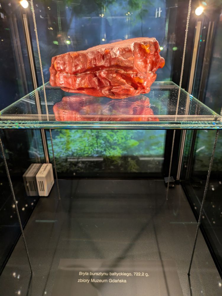 A huge piece of amber that's opaque and kind of squidgy looking 