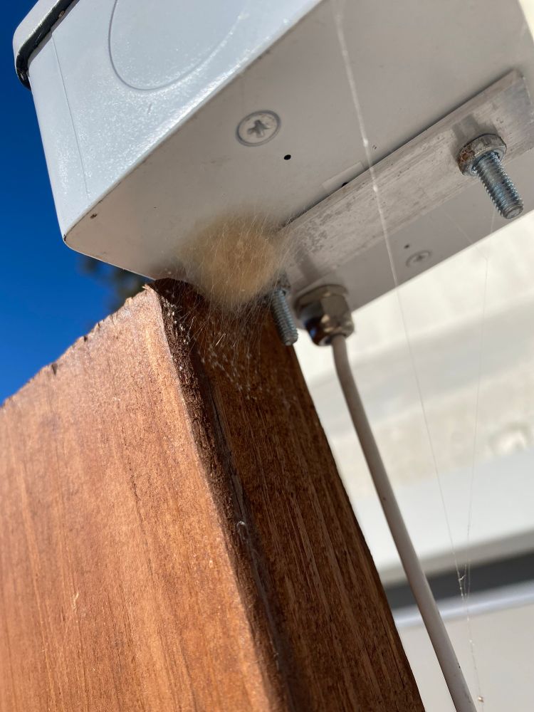 The underside of a piece of white equipment mounted on wood. Can see a fluffy ball of something. 
