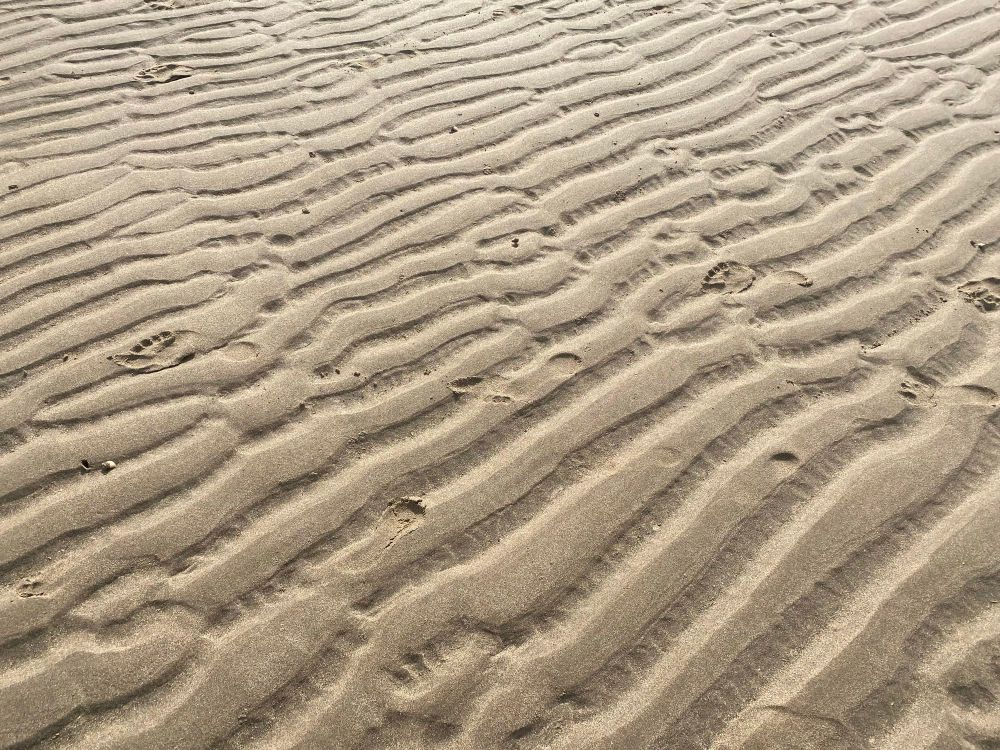 Ripples in sand