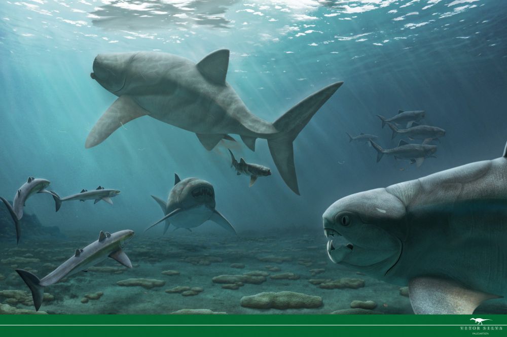 An old Titanichthys clarki mother gives birth near the water surface. Attracted by the blood, 3 Cladoselache approach from the left, and a Gorgonichthys comes from the right, going towards the shark-like trio. A Dunkleosteus comes from the background, aiming for the mother, and further away 4 Titanichthys agassizi swim while filter feeding