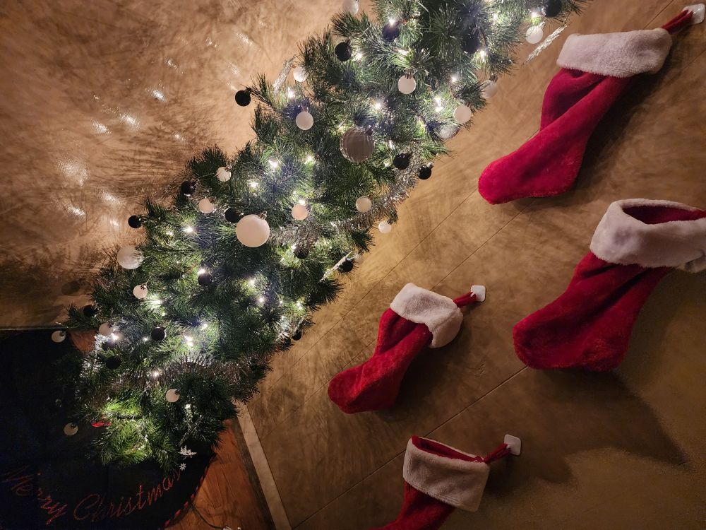 A Christmas tree thats tall and skinny with black and white ornimants. There are 4 red  stocking hung on the wall. 