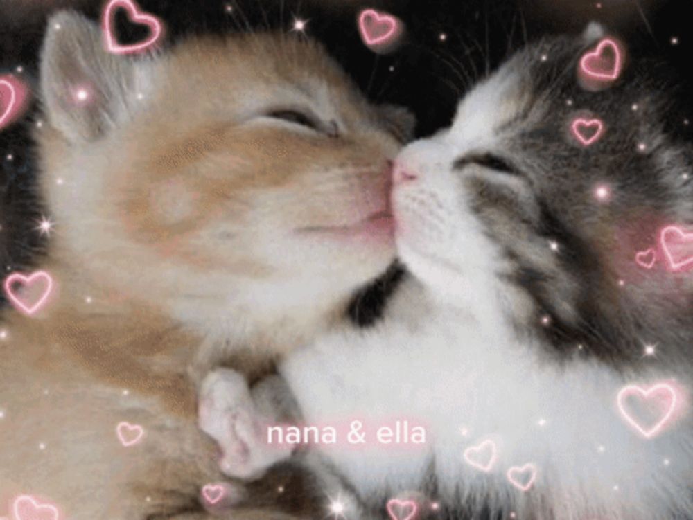 a picture of two kittens kissing with nana & ella written in the corner