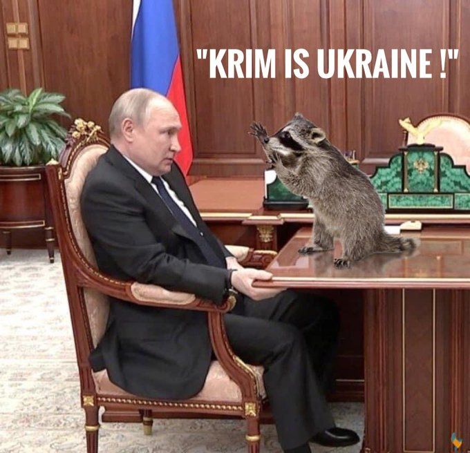 Comment image