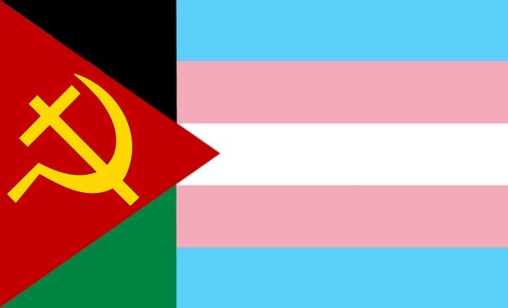 A flag that is a combination of the Palestinian flag 🇵🇸 and the trans pride flag 🏳️‍⚧️, with the Christian Communist cross and sickle—which is a variant of the Communist hammer and sickle ☭ where the hammer is replaced with a Christian cross ✝️—on the red triangle part. Both Palestinians and trans people are victims of ongoing genocides, and the teachings of both Christianity and Communism—if they are actually adhered to by their propnents—are  vehemently opposed to such evil.