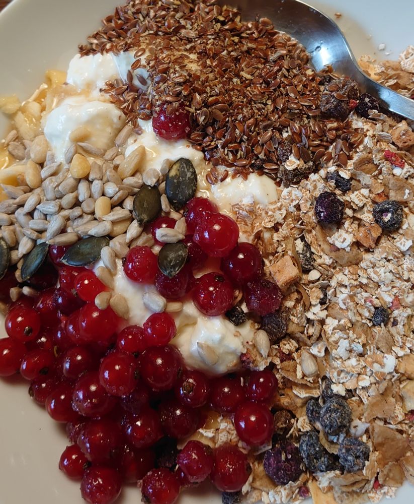 Müsli mit roten Johannisbeeren 