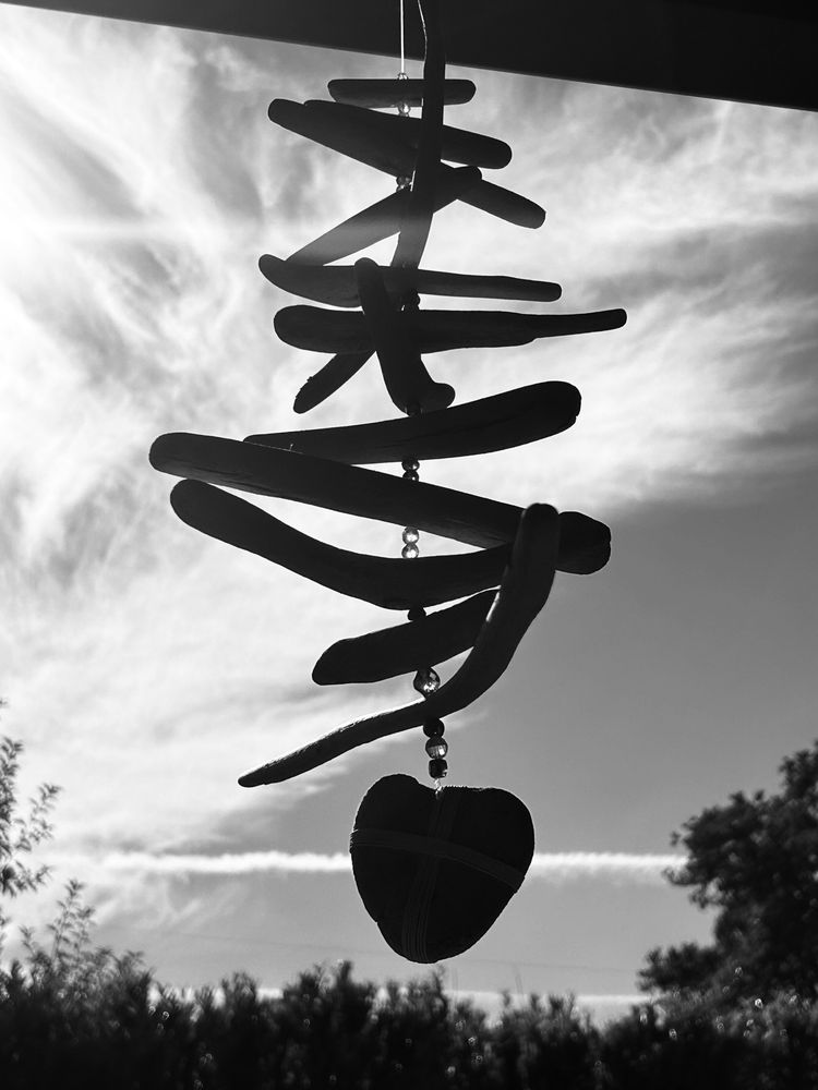 Black and white photo of a driftwood mobile with evening sky in the background 