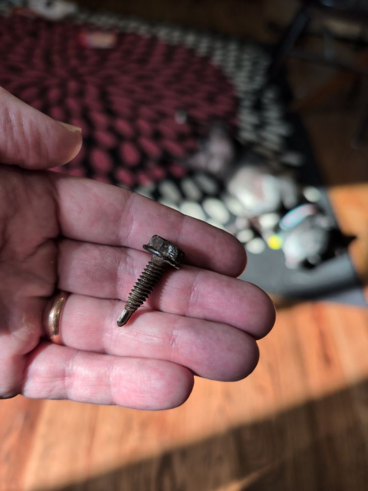 One of Frankenstein's neck bolts is in my hand, removed from a car tire after derailing my day.  In the background an out of focus dachshund is lying belly-up in a sunbeam.