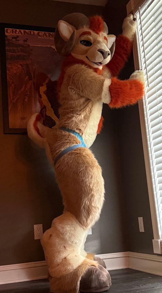 Faar the ram in fursuit posing with his booty out 