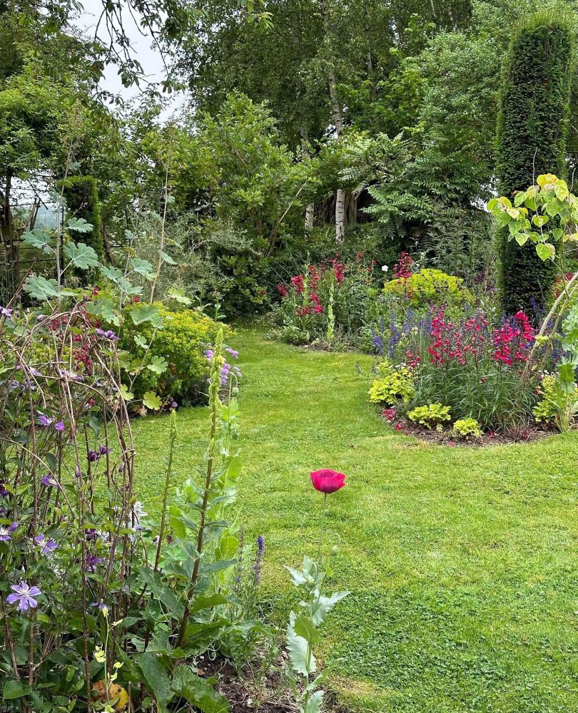 A neat grassy path weaves through borders of colourful summer flowers and a background of tall leafy trees