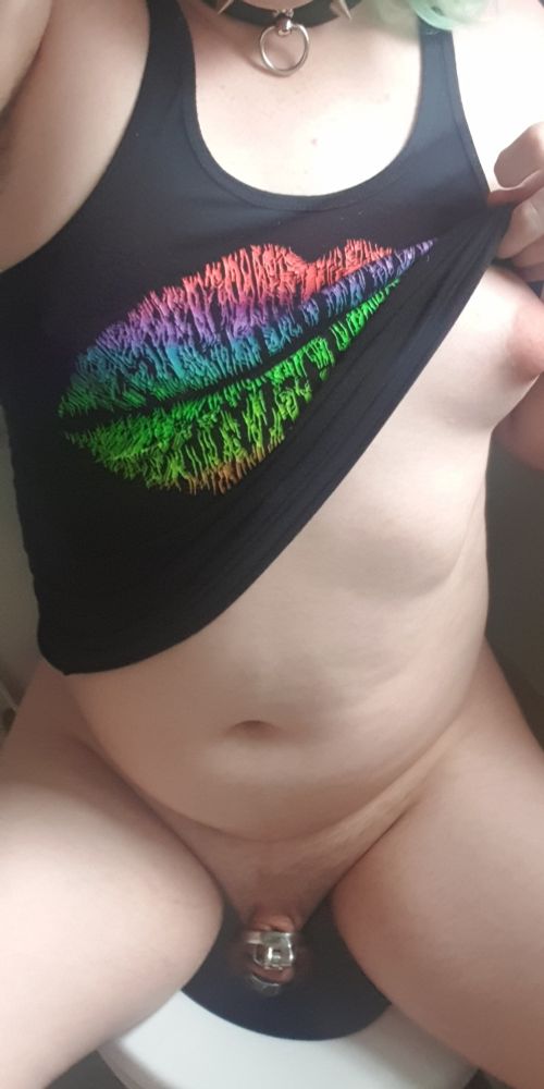 I'm sitting on the loo, caged dick on show, wearing my collar and a tank top with a cybernetic-looking rainbow kiss mark design, which I'm lifting up on one side to show off my tit.