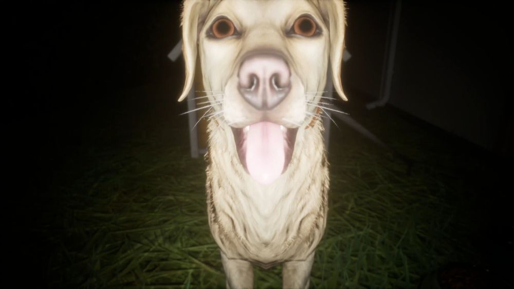 Bonta, a golden retriever dog from Paddy Field, a horror game on steam.