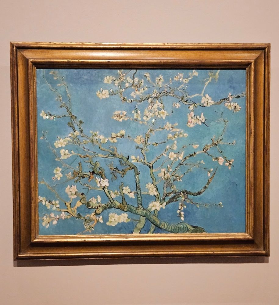 Van Gogh Museum - Almond Blossom