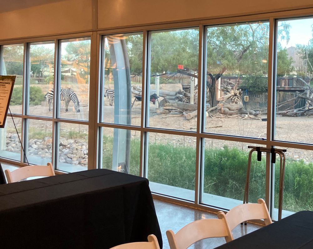 A photo of some large windows with a herd of zebras directly outside