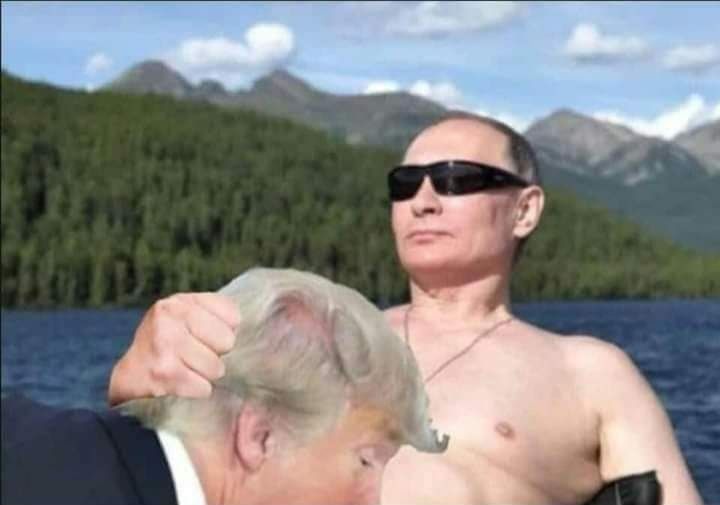 Comment image