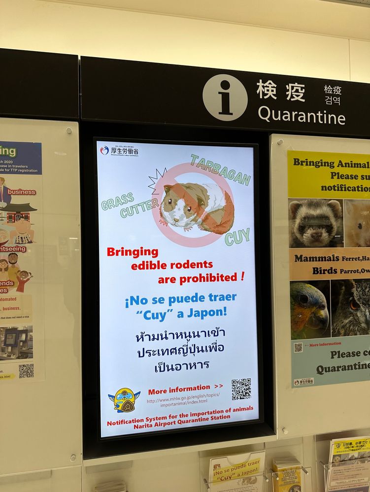 Sign that says “Bringing edible rodents are prohibited” at the Japanese immigration area at Narita Airport in Japan