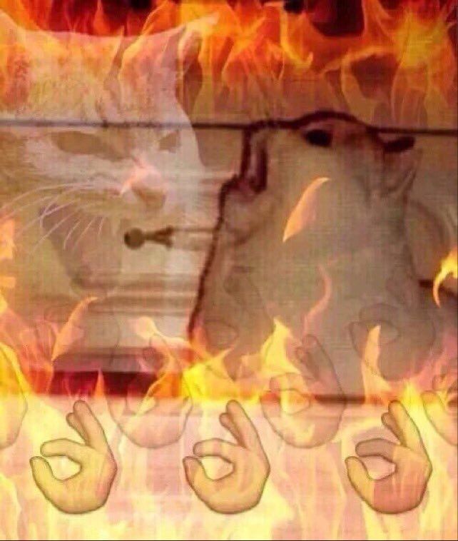 A meme collage consisting of a white cat hissing and yelling surrounded by photoshopped fire and ok-hand emojis because this shit is LIT.