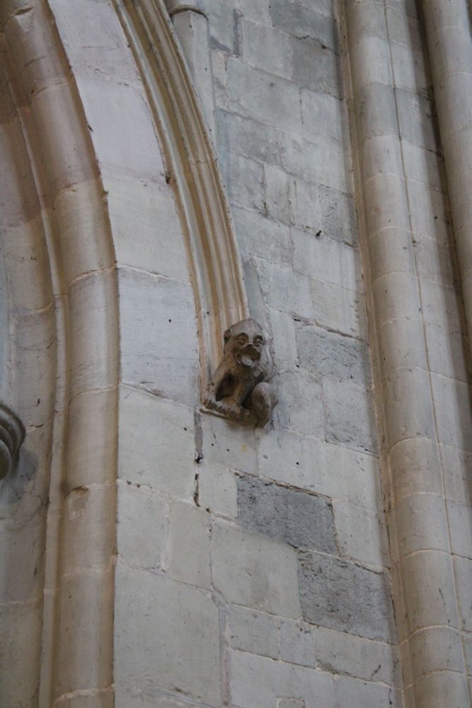 A tiny carved stone creature- perhaps a dog or monkey-  is carved holding onto the wall of a medieval archway. He has his tongue hanging out in the cathedral north transept. It is unpainted.