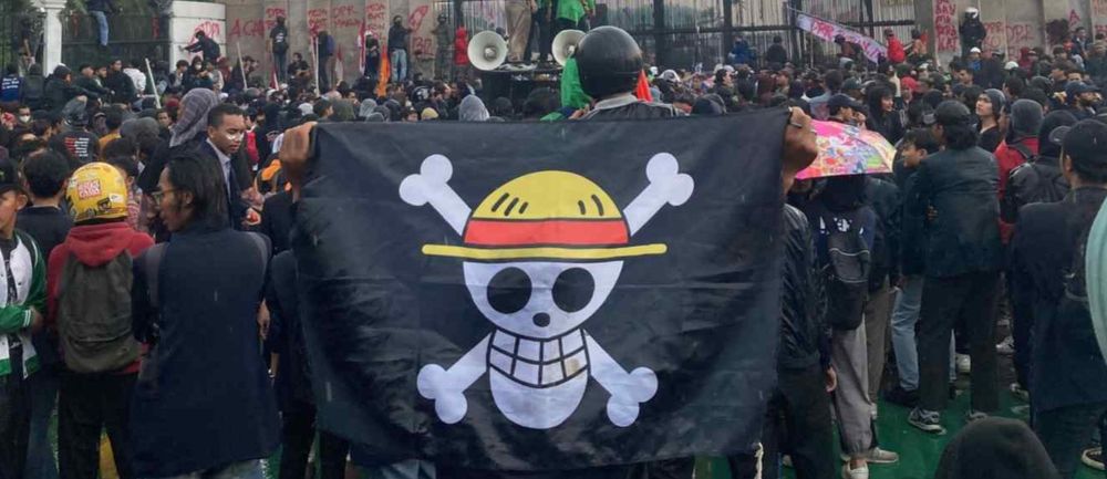 Picture of a protest, one of the protesters in the foreground is flying the "Straw Hat Pirate" flag, a smiling jolly roger skull and crossbones with a straw hat on.