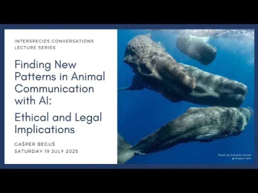 “New Patterns in Animal Communication with AI: Ethical and Legal Implications" with Gašper Beguš