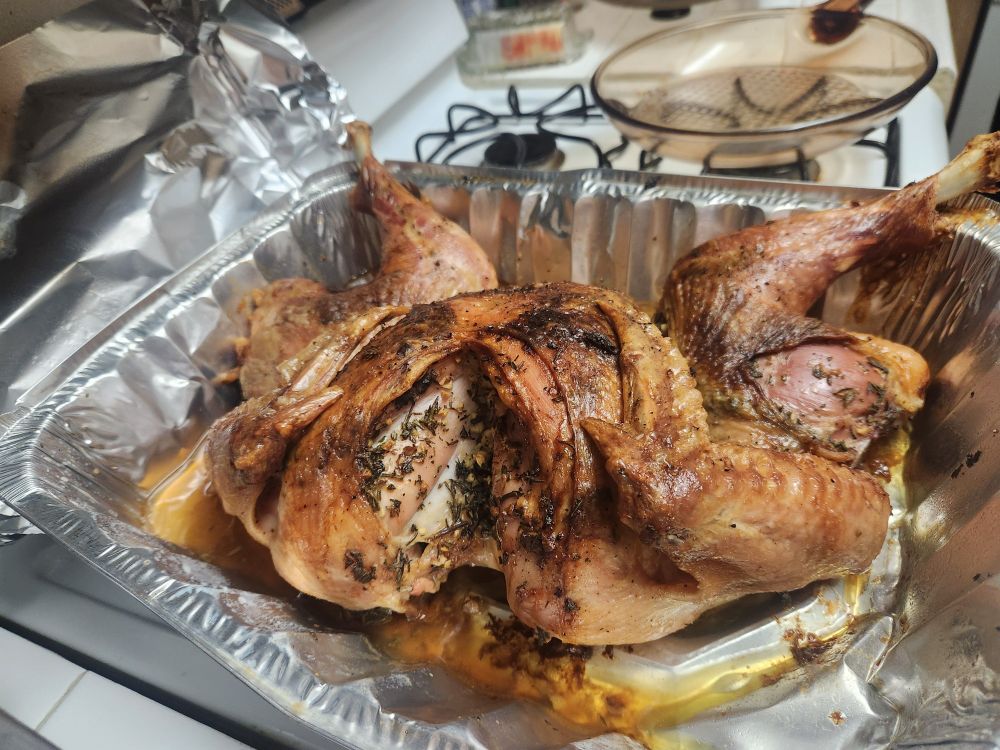 A Thanksgiving turkey doing Goatse.