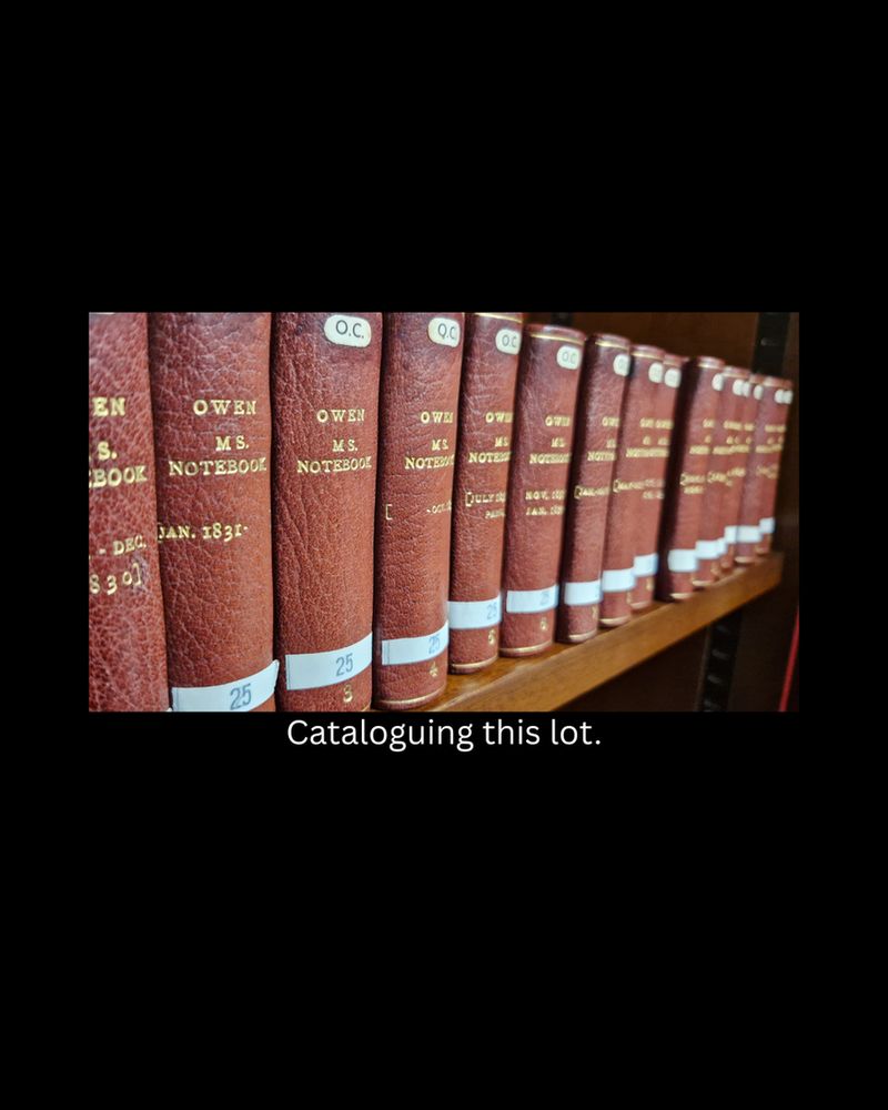A wooden library shelf holding 15 small notebooks bound in brown leather.