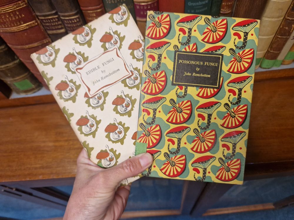 A hand holding two books on fungi with covers of decorative paper. Title at left is 'Edible Fungi', at right is 'Poisonous Fungi'.