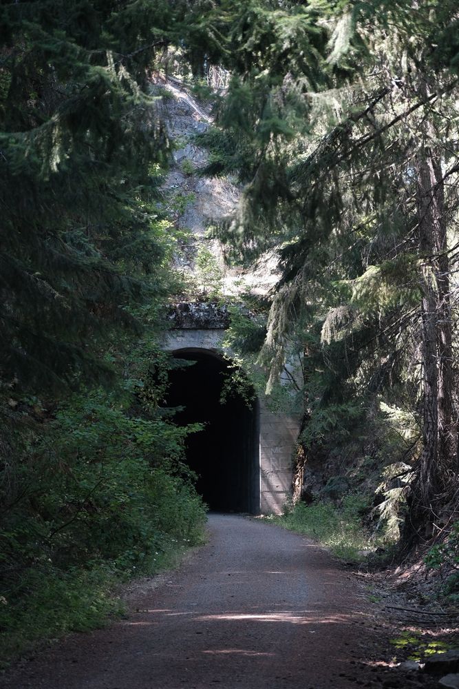 A tunnel on the Palouse to Cascades Trail (formerly the Milwaukee Road Railroad) is framed by tall evergreen trees. 