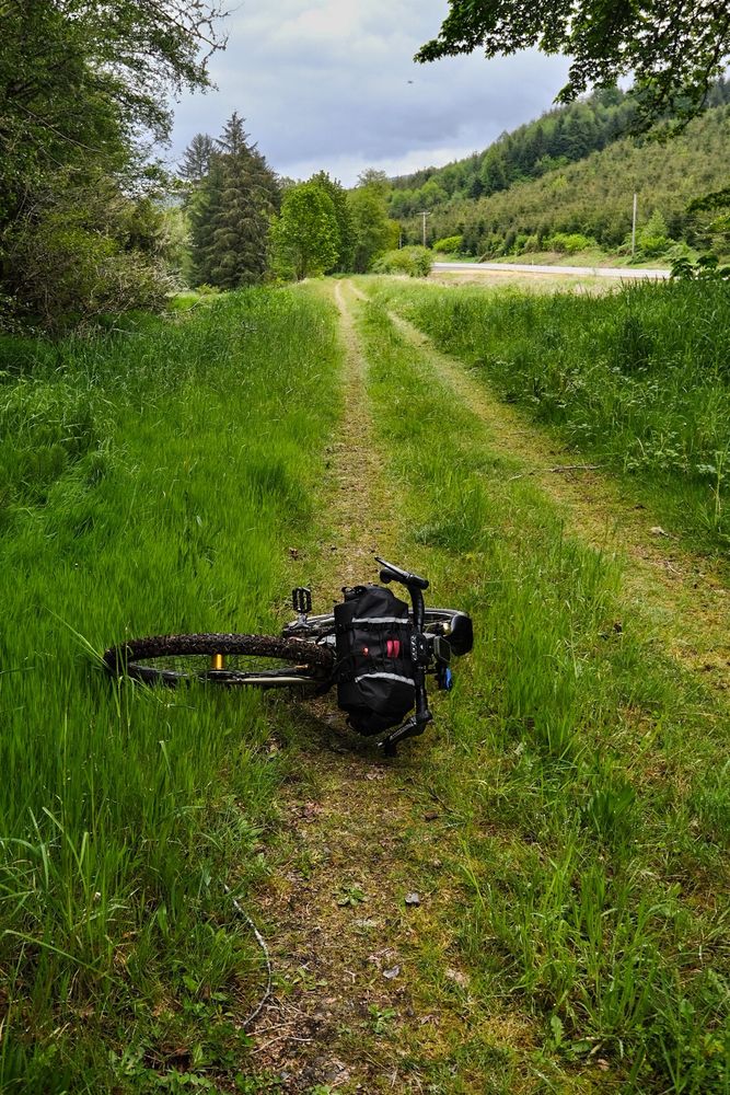 A Kona Sutra LTD bicycle on a grassy two track section of the Willapa Hills Trail near Pluvius.