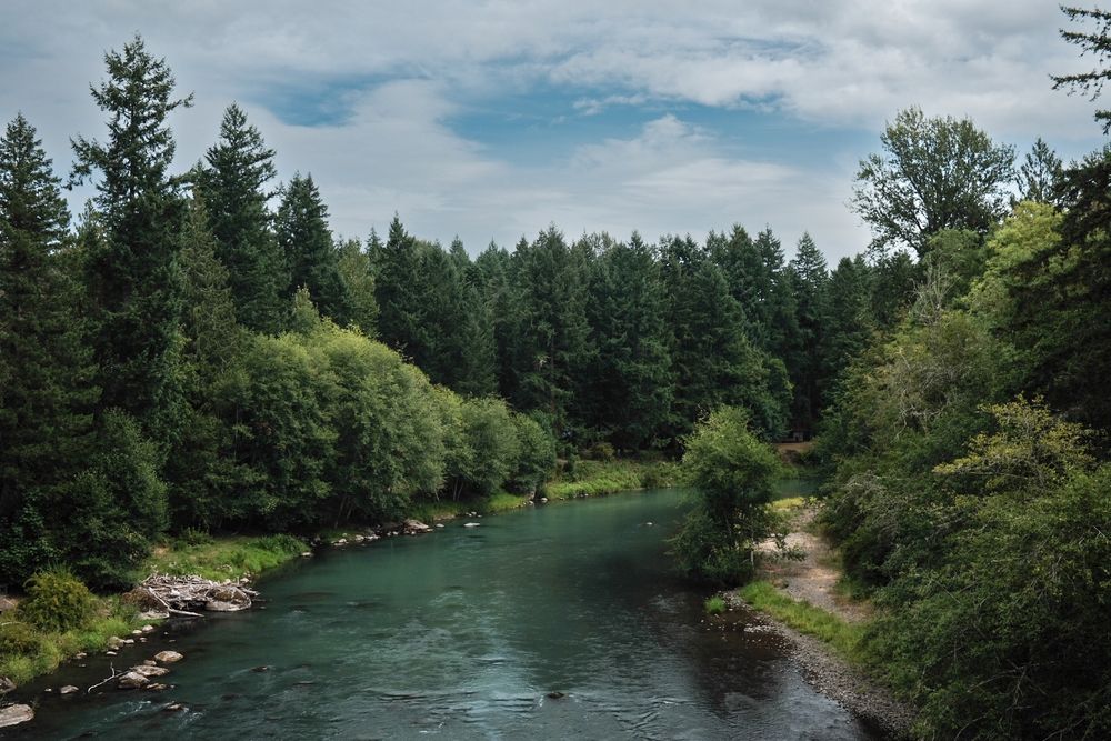A view of the deep green Nisqually River from the abandoned trestle. The river is lined by happy little trees and the  sky is mostly cloudy with a patch of blue.