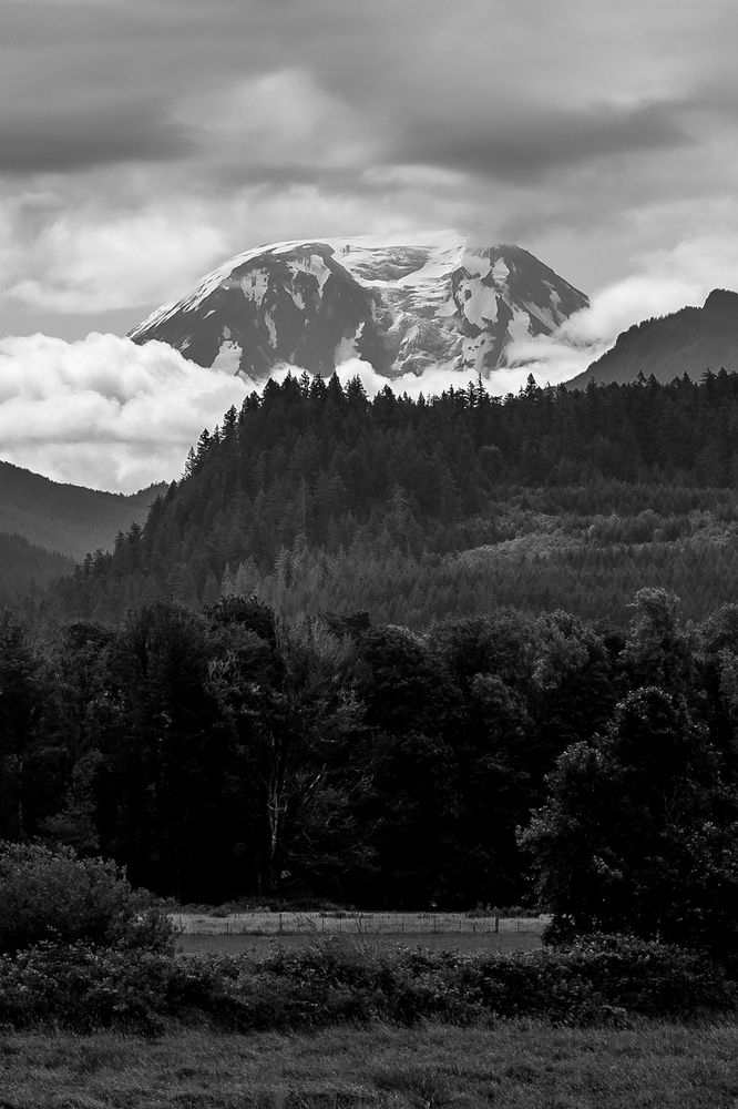 The cloud framed summit of Pahto (Mt Adams) looms above forested hillsides and farmland. Black and white photo.