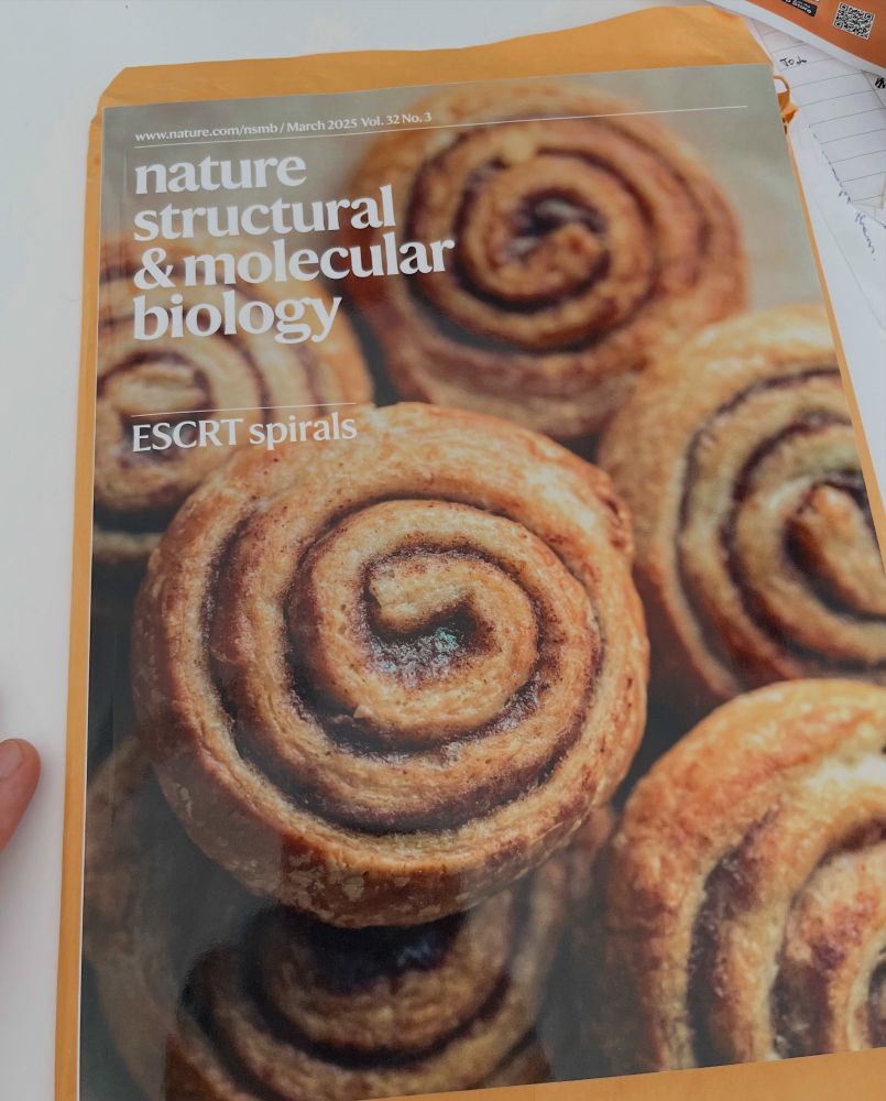 Cover photo of Nature Structural and Molecular Biology with cinnamon rolls