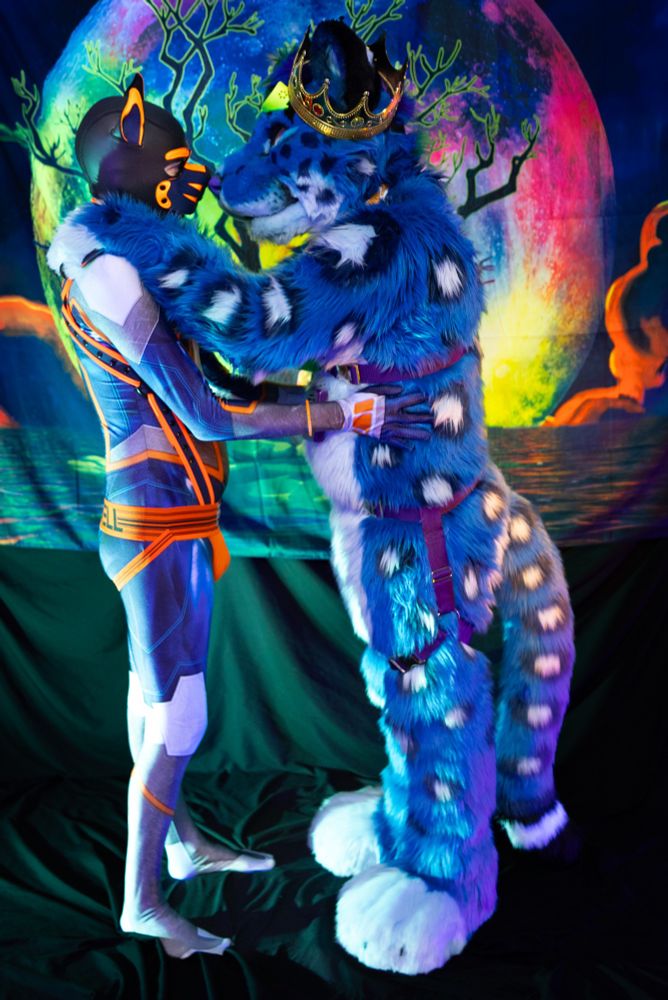 Akamai and Bluefire touching noses. 