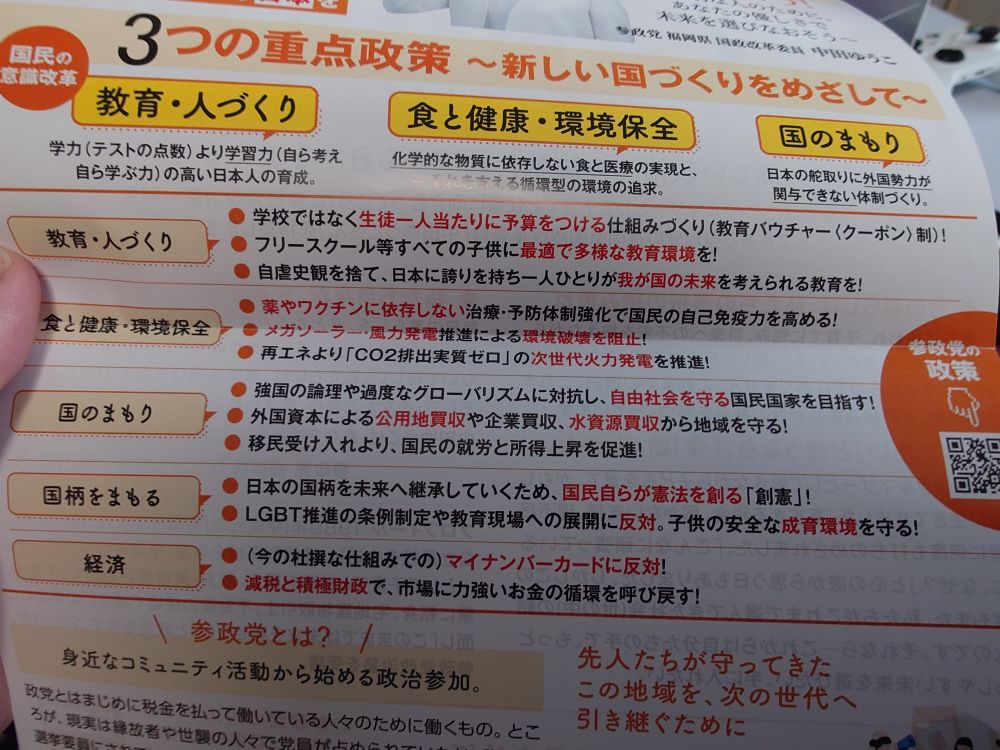 参政党のチラシ
※差別的記載あり