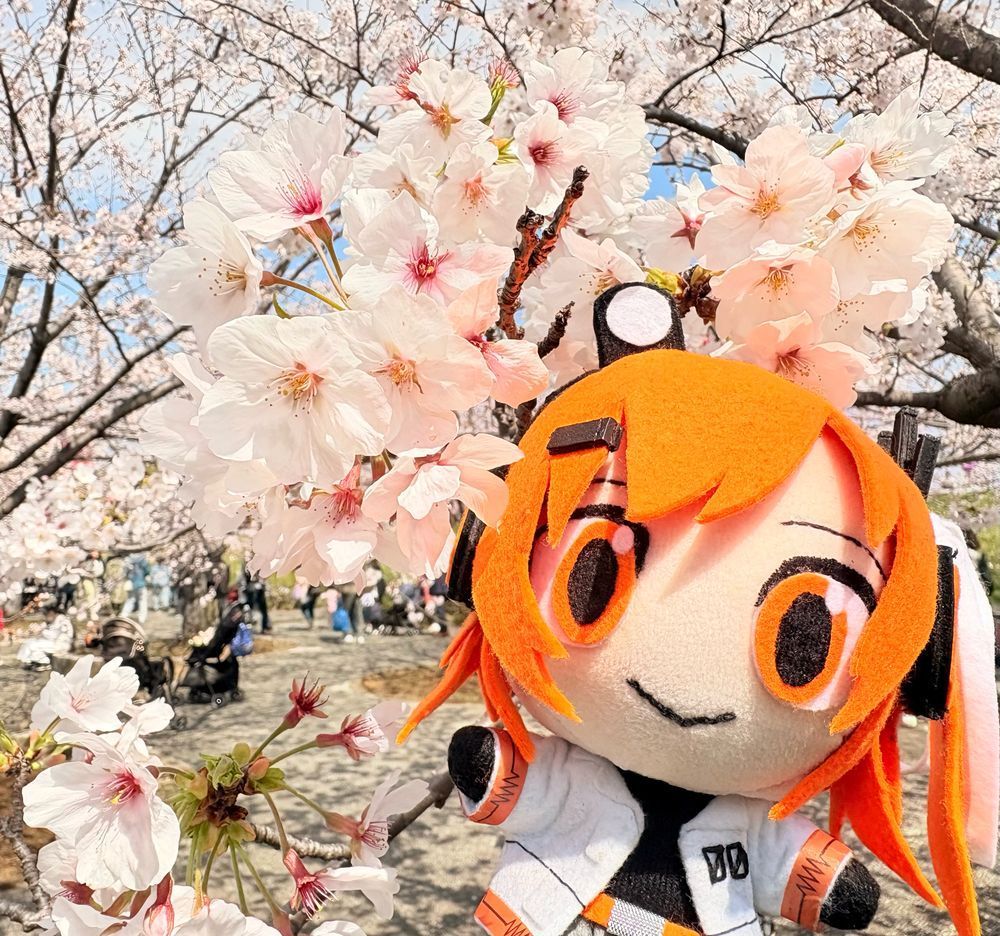 満開の桜と、足立ぬい