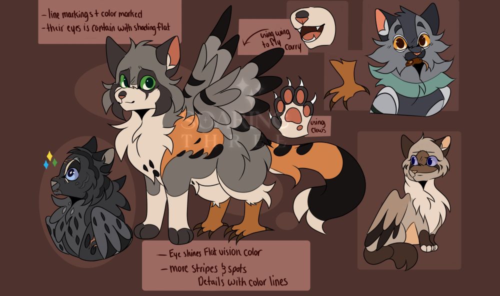 Digital illustration of several winged cats with bird feet in place of their back paws. A smiling gray tabby cat with orange patches is standing in the middle. A gray-and-green cat with a mouse in its mouth is in the top right corner, and below it is a colorpoint one sitting down and looking worried. To the left of the canvas is a dark gray spotted cat looking up at something, fascinated. There are notes scattered around expanding on the art style.