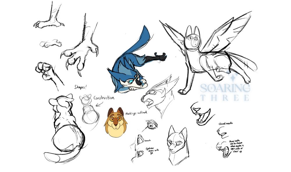 Several digital sketches of bird feet, eyes, poses and more featuring winged cats with bird feet in place of their back paws. A blue winged cat is laying down, bored. 