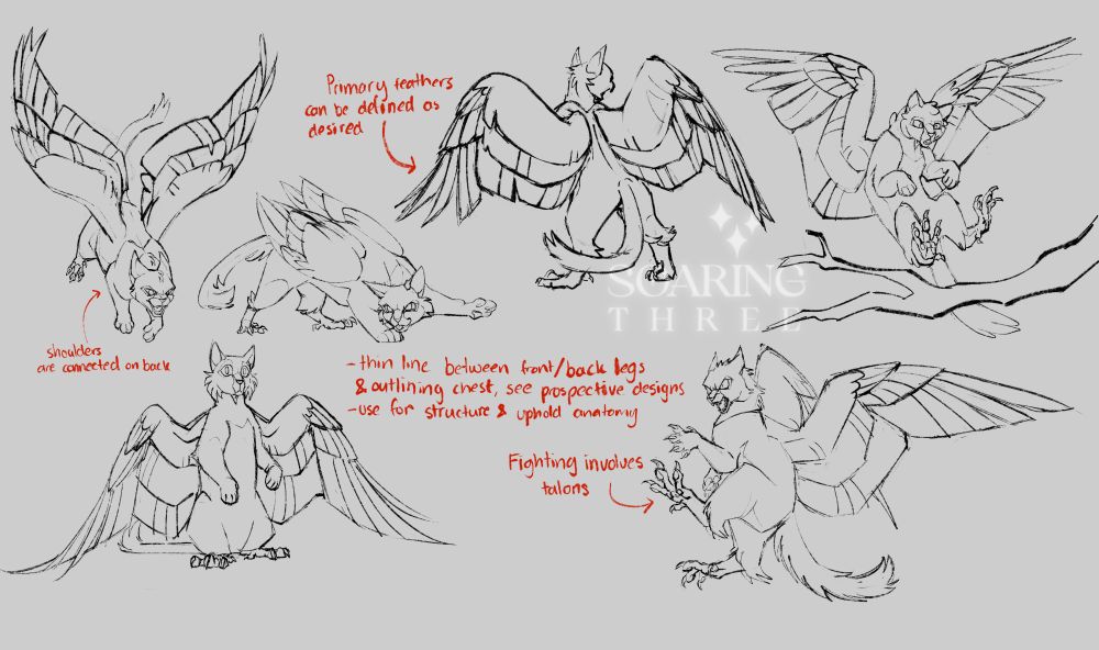 Several digital sketches featuring winged cats with bird feet in place of their back paws in various dynamic poses. Notes on the art style are scattered across the canvas.