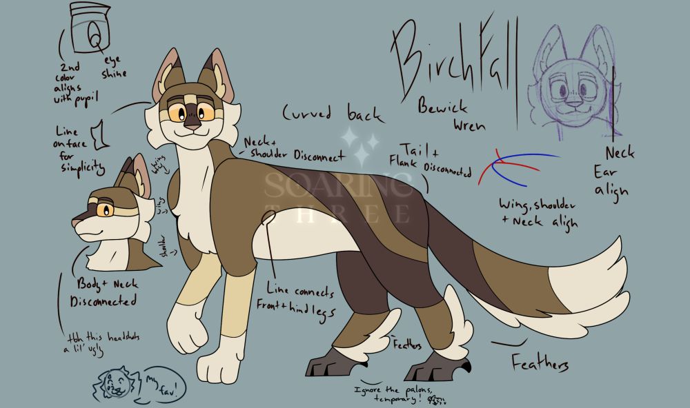 Digital illustration of Birchfall, a smiling brown tabby cat with bird feet in place of his back paws. A note says that he is based on the bewick wren. Other notes are scattered across the artwork and expand on the stylistic choices.