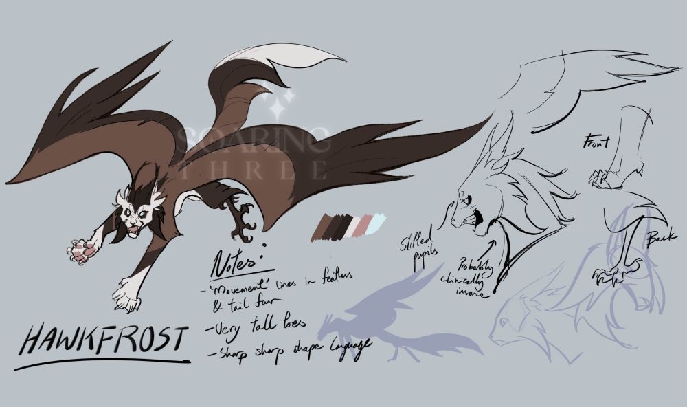 Digital illustration of Hawkfrost, a brown-and-white winged cat with an evil grin, flying across the canvas. Bird feet can be seen in place of his back paws. Sketches of side profiles, paws, and bird feet belonging to him are left on the right side of the screen.

A list of notes say:
"'Movement' lines in feathers & tail fur"
"Very tall toes"
"Sharp sharp shape language"
"Slitted pupils"
"Probably clinically insane"