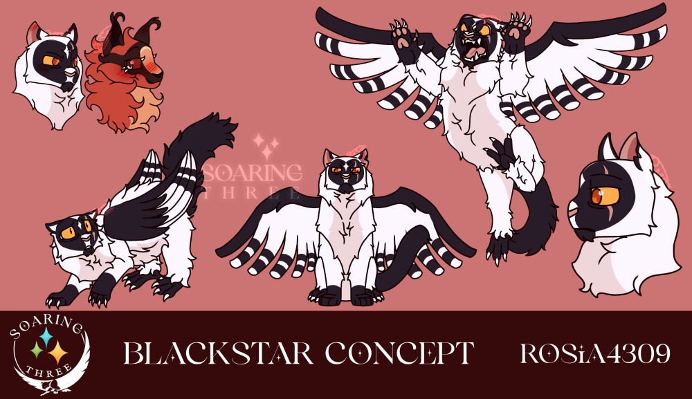 Digital illustrations of Blackstar, a white-and-black tom cat with large wings and bird feet in place of his back paws. He's drawn in various dynamic poses, one including him looking at a red cat.