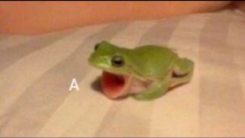 Small green frog with its mouth wide with the letter "A" like it's doing a tiny scream. 