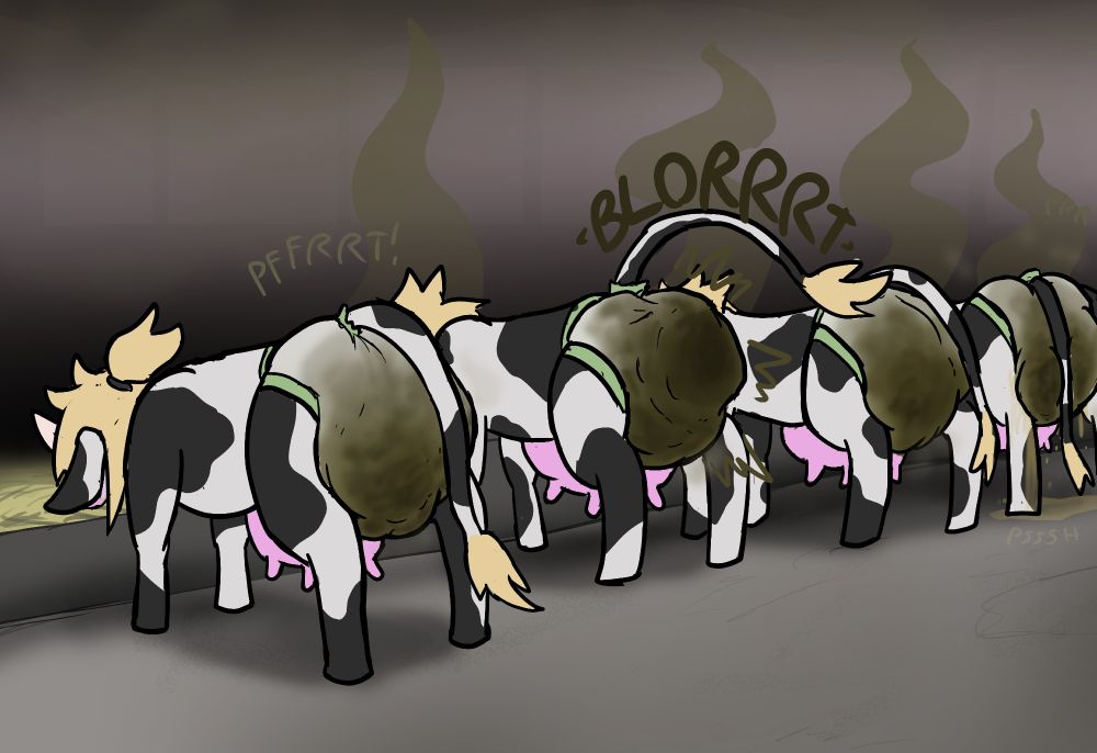 furry cows eating with soiled diapers, one pooping at the moment