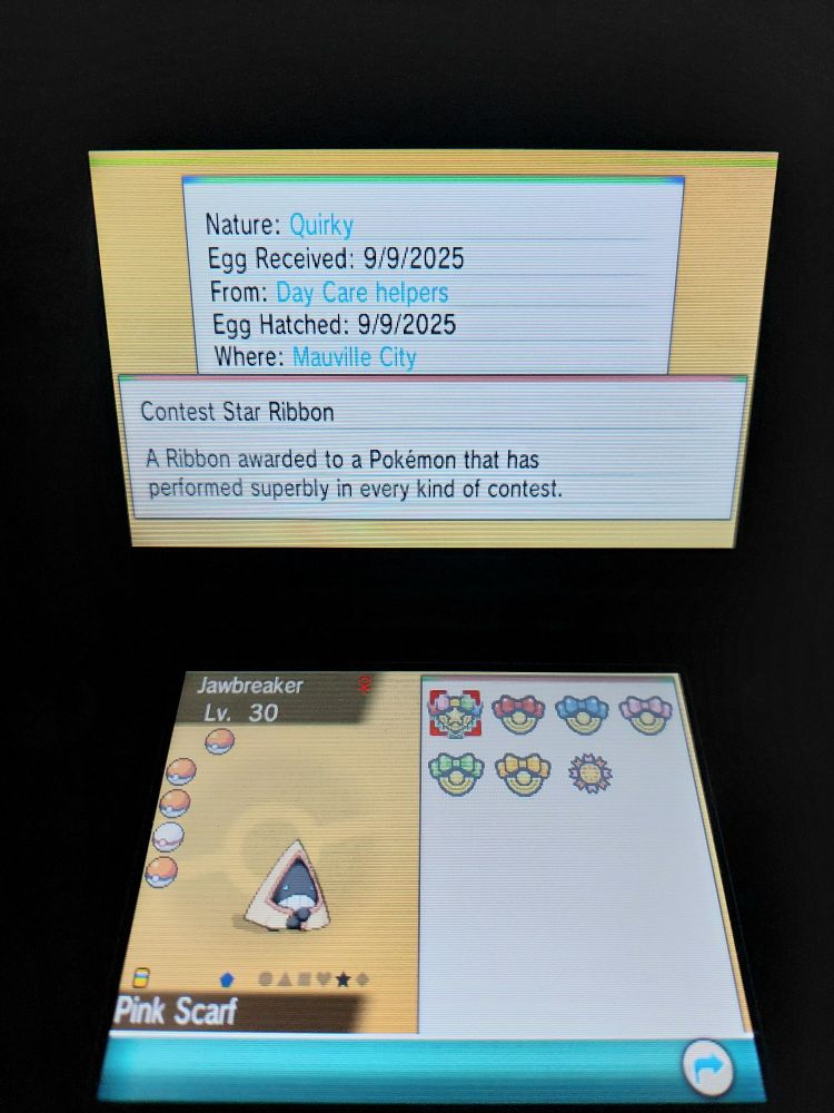Pokemon Omega Ruby showing Jawbreaker the Snorunt wearing the Contest Star Ribbon.