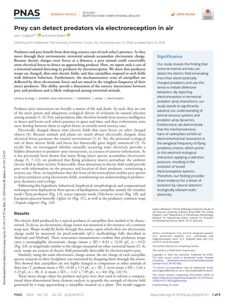 (PDF) Prey can detect predators via electroreception in air