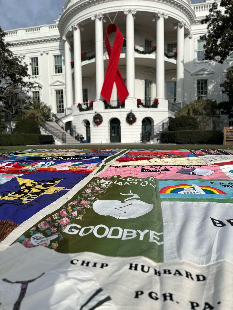In the foreground a panel of the AIDS Memorial Quilt with the words Goodbye legible. In the background the White House with a huge red Aids Ribbon.