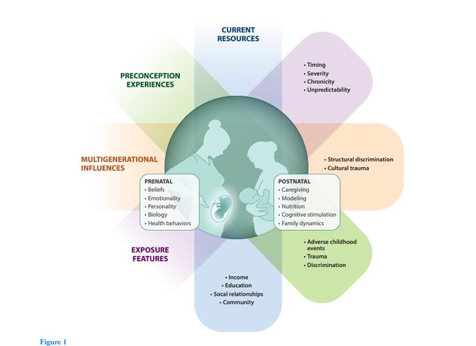 Fig 1 from Thomason & Hendrix, 2024