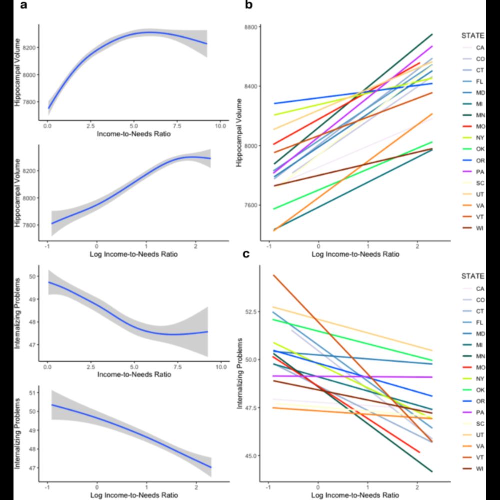 State-level macro-economic factors moderate the association of low income with brain structure and m...